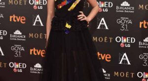 Premios Goya 2017: la alfombra roja al completo