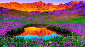 Protegido: Vivir que la vida es corta