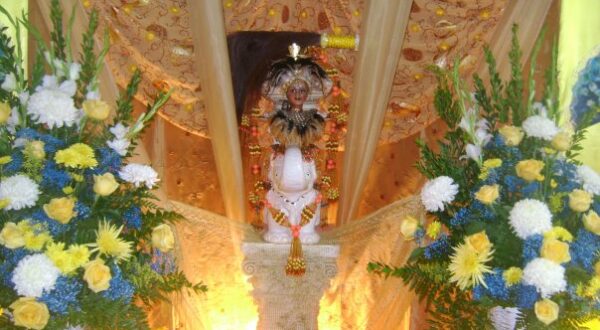 Tarotista Experta vidente y consejera con Luz Divina