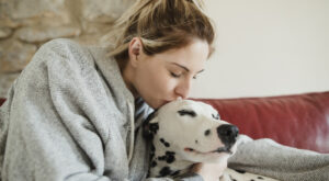 30 curiosidades sobre los perros que quizá no conocías