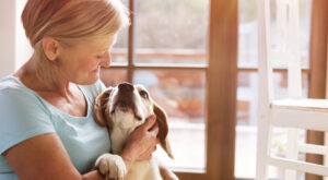 30 razas de perros tranquilos ideales para personas mayores