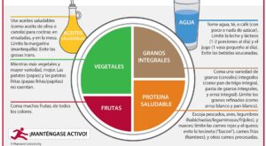 alimentación saludable c/ calculo de calorías diarias