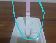 test línea horizontal y vertical