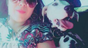 mi perro alfre dalmata