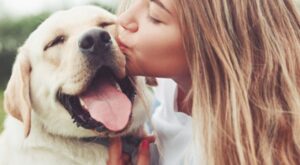 La raza de perro ideal según tu signo del zodiaco