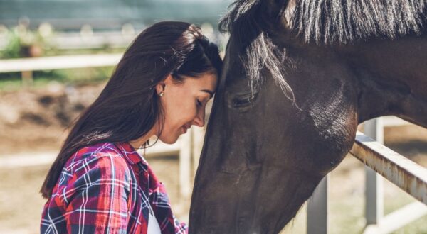 ¿Cuál es tu Tótem (animal) según tu signo del zodiaco?