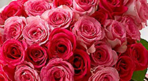 Organiza tu boda romántica en invierno