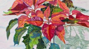 Exposición Spring 2×2: fotografía y pintura