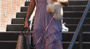 Las mascotas de las celebrities