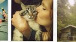 Cocoon – el álbum del Club de Fans