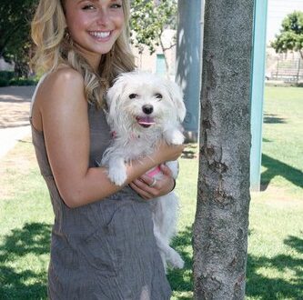 Hayden Panettiere – el álbum del Club de Fans