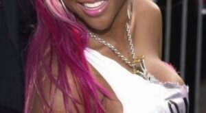 Lil’Kim – el álbum del Club de Fans