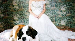 Norah Jones – el álbum del Club de Fans