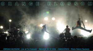 Orange Blossom – el álbum del Club de Fans