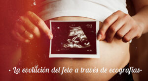 La evolución del feto a través de ecografías