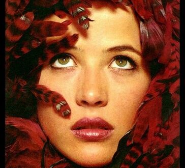 Sophie Marceau – el álbum del Club de Fans