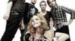 The Cardigans – el álbum del Club de Fans