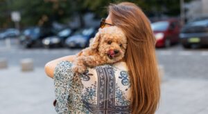 Si tu perro te lame las manos o la cara, esto es lo que podría estar comunicándote, según algunos expertos