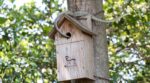 Olvídate de las víboras en el jardín: este error tan típico que todos cometemos después de fuertes lluvias las atrae en masa