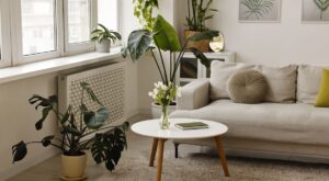 Feng shui: estos 10 objetos y detalles de tu casa podrían estar alejando el dinero y la abundancia