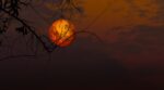 Eclipse lunar parcial del 28 de agosto: la Luna se teñirá de rojo y podrá verse a simple vista sin gafas