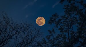 Estos 4 signos del zodiaco podrían vivir con más intensidad la Luna llena del 28 de agosto, según una astróloga